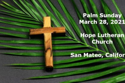 Palm Sunday: God's Response to Suffering