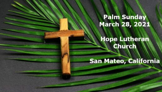 Palm Sunday: God's Response to Suffering