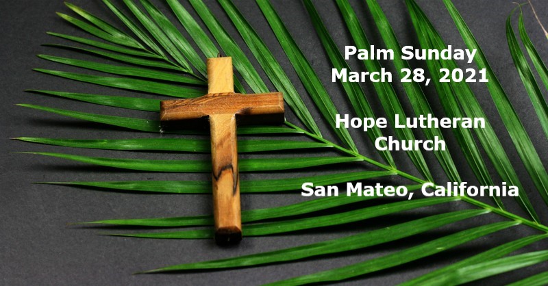 Palm Sunday: God's Response to Suffering