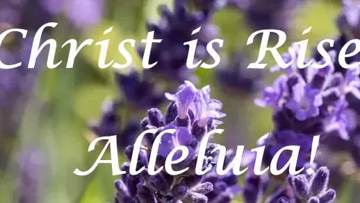 Remembering His Words