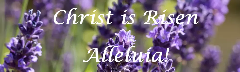 Remembering His Words