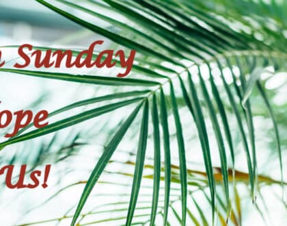 Encounters in Jerusalem