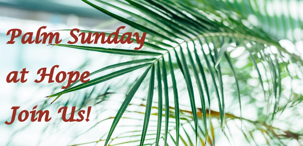 Encounters in Jerusalem