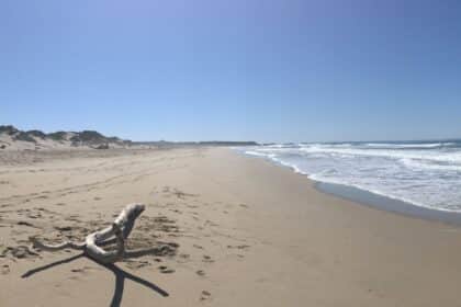 Lent 1 - Walking With God